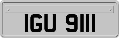 IGU9111