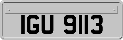 IGU9113
