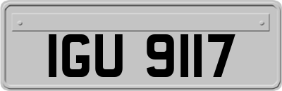 IGU9117