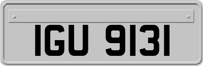IGU9131