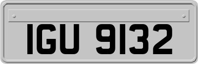 IGU9132