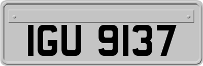 IGU9137
