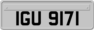 IGU9171