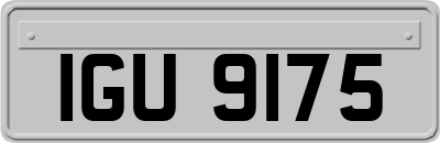IGU9175