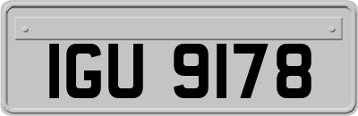 IGU9178