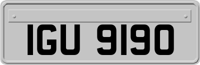 IGU9190