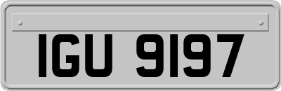 IGU9197