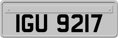 IGU9217