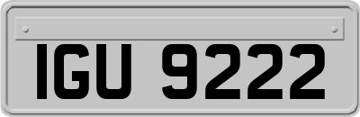 IGU9222