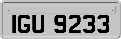 IGU9233