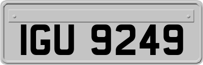 IGU9249