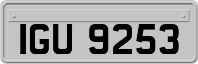IGU9253