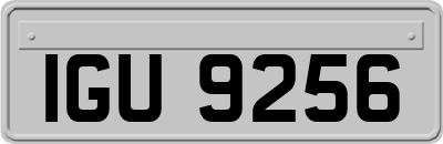 IGU9256