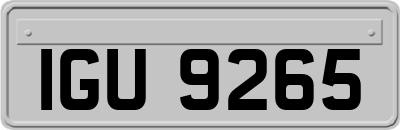 IGU9265