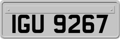 IGU9267