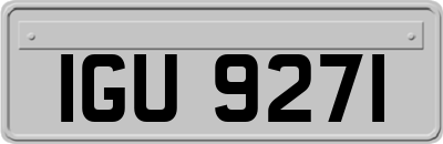 IGU9271