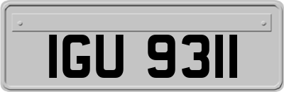 IGU9311