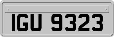 IGU9323