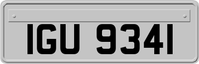 IGU9341