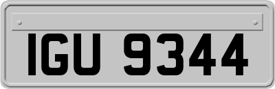 IGU9344