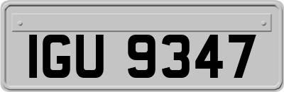 IGU9347