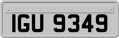 IGU9349