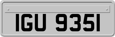 IGU9351