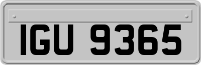 IGU9365