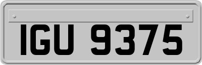 IGU9375
