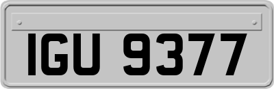 IGU9377