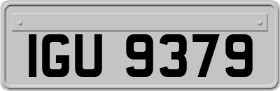 IGU9379