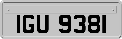 IGU9381