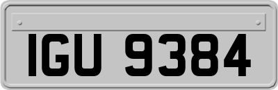 IGU9384
