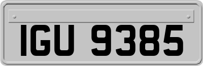 IGU9385