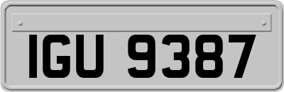IGU9387