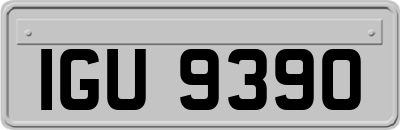 IGU9390