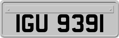 IGU9391