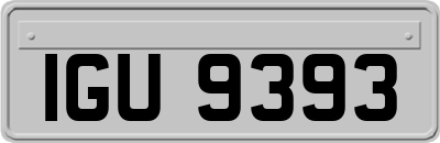 IGU9393