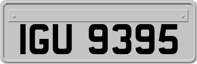 IGU9395