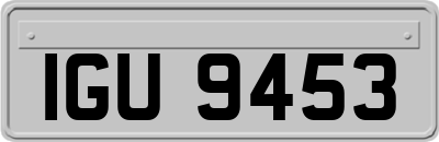 IGU9453