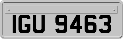 IGU9463