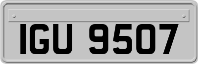 IGU9507