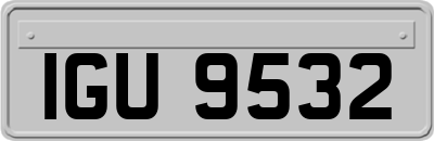 IGU9532