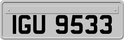 IGU9533