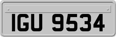 IGU9534