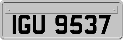 IGU9537