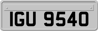 IGU9540