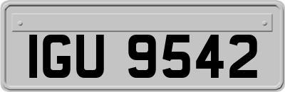 IGU9542
