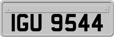 IGU9544
