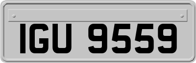 IGU9559